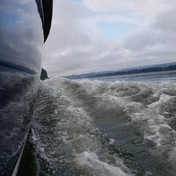 wake wake